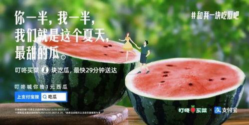 吃瓜支付宝,轻松解锁美食新体验