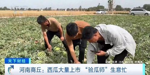 徐云吃瓜,揭秘娱乐圈幕后真相