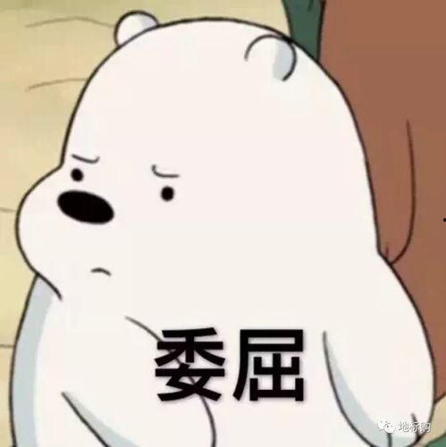 淋雨吃瓜表情,笑对人生百态