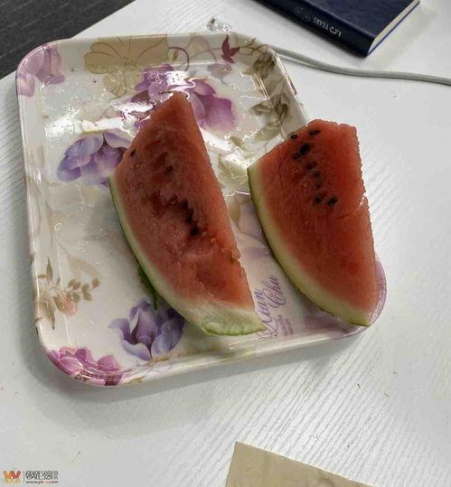 棉花娃娃的吃瓜,棉花娃娃的甜蜜瓜果时光