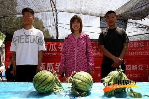 大型吃瓜比赛,一场全民参与的狂欢盛宴
