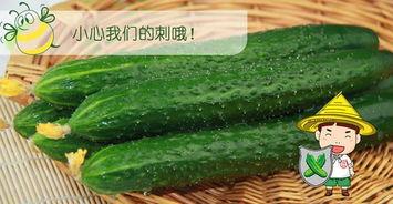 瓜哥吃瓜商家的套路,揭秘那些隐藏在甜蜜背后的陷阱