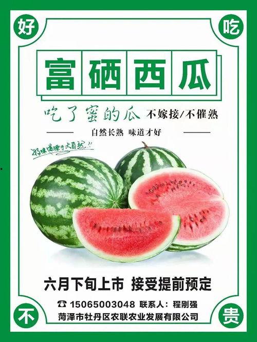 小庞吃瓜化学,吃瓜中的科学奥秘探索