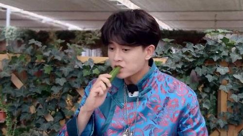 嘉伦综艺吃瓜,揭秘娱乐圈幕后故事