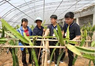 邯郸永年区吃瓜,夏日炎炎，瓜果飘香，尽享清凉时光