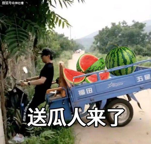 开学吃瓜文案,校园瓜田笑翻天