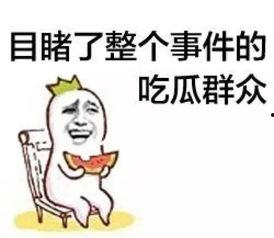 吃瓜群众的音乐,欢快旋律中的趣味人生