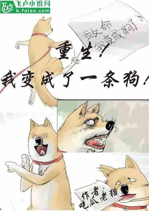 吃瓜受累小说,从旁观者到主角的奇幻旅程