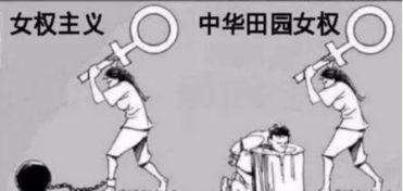 吃瓜盟主解析女权,女权运动的现状与未来展望