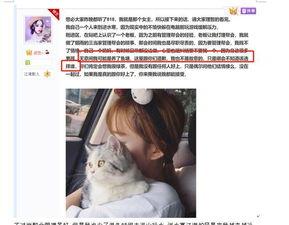 吃瓜群众网页游戏,揭秘网页游戏界的趣味与狂欢