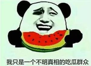 吃瓜群众的名字,一场关于网络舆论的全民盛宴