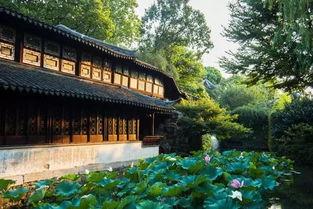 桃源仙境吃瓜