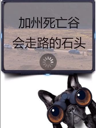 谜语吃瓜7,探寻“吃瓜7”的神秘魅力