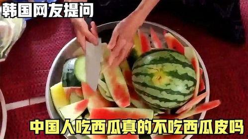 韩国看别人吃瓜,围观他人的娱乐盛宴