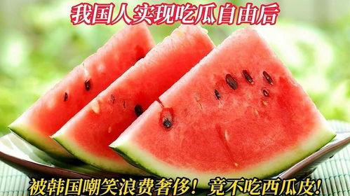 韩国看别人吃瓜,围观他人的娱乐盛宴