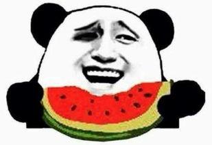金悦吃瓜群众