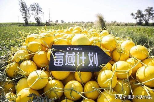 吃瓜抖音拍摄,抖音吃瓜达人教你轻松拍出热门短视频