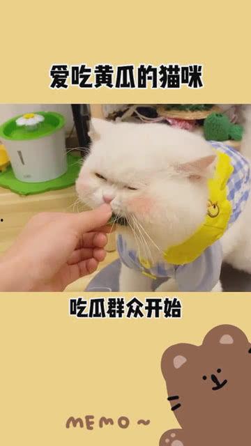 吃瓜在线免费吃瓜