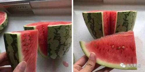 大口的吃瓜,畅享夏日清凉时光