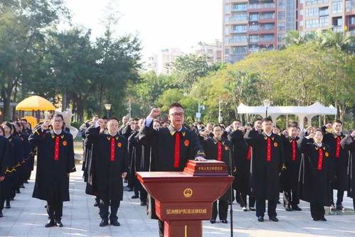 深圳法官吃瓜,法律界一幕意外“瓜田”风波