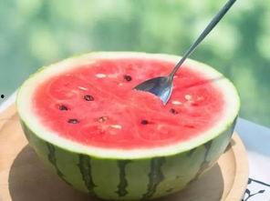 痤疮可以吃瓜么,瓜类食物的适宜与禁忌