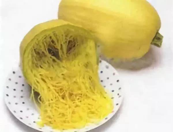 金丝绞瓜怎么吃