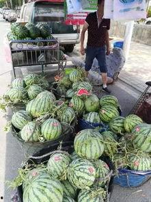 峄城吃瓜事件,一场网络热议背后的真相与反思