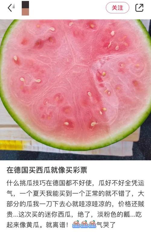 吃瓜惊呆图片大全,图集大揭秘