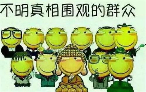 吃瓜群众祈祷视频,见证奇迹的时刻