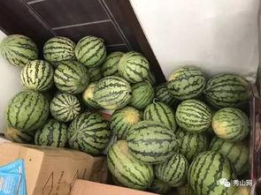 胶州吃瓜群,揭秘网络社交背后的趣味与争议