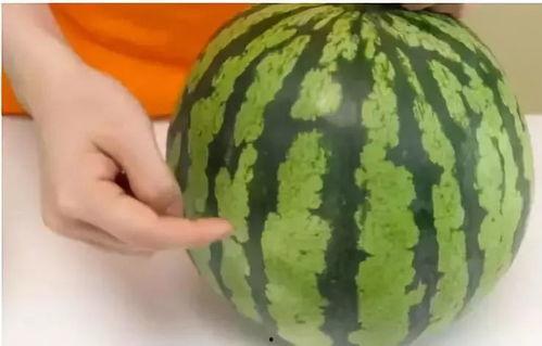 没有熟的瓜怎么吃,未熟瓜果的巧妙食用攻略