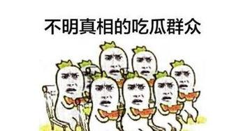 吃瓜群众怎么修炼,从旁观者到深度解读者