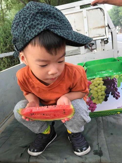 吃瓜小小,揭秘娱乐圈背后的那些事儿