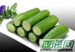 荷兰吃瓜,探寻荷兰独特的“吃瓜”文化