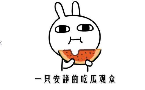 吃瓜没吃到瓜是什么意思,揭秘网络热词背后的真相  第2张