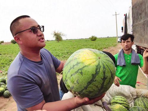 湖州吃瓜达人照片